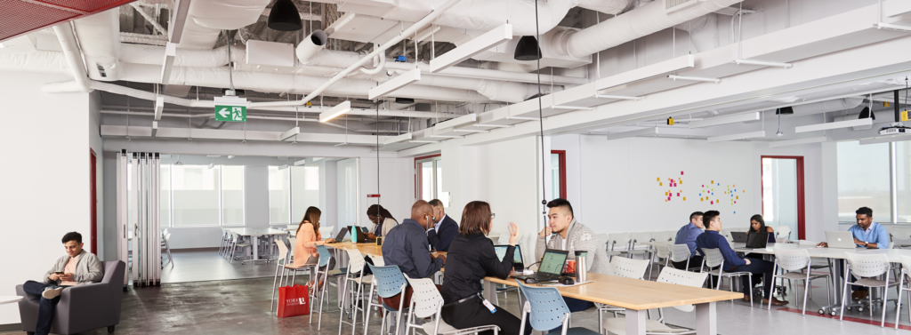 Entrepreneurs sitting in the YSpace kitchen.