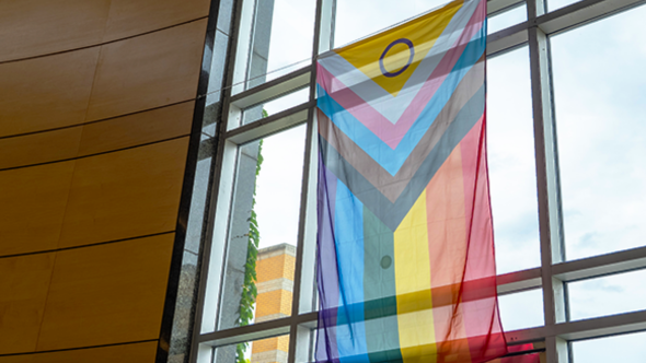 Pride Flag hanging vertically from Vari Hall
