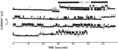 electrical excitation caused by red light in the green alga Mougeotis